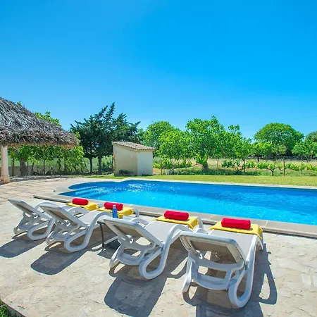 Owl Moya - Walking Distance To The *