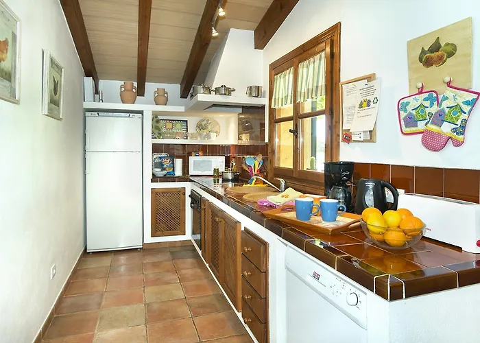 Owl Moya - Walking Distance To The *