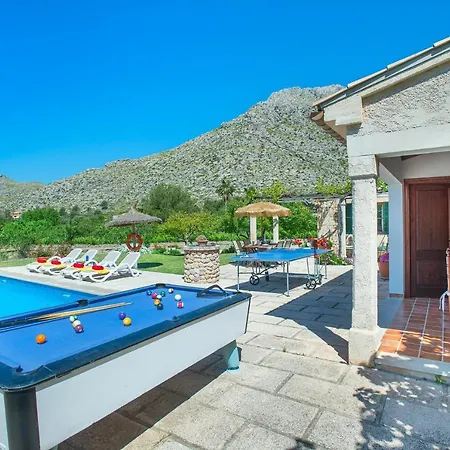 Owl Moya - Walking Distance To The