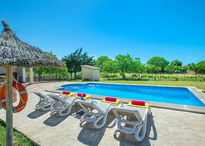 Owl Moya - Walking Distance To The *